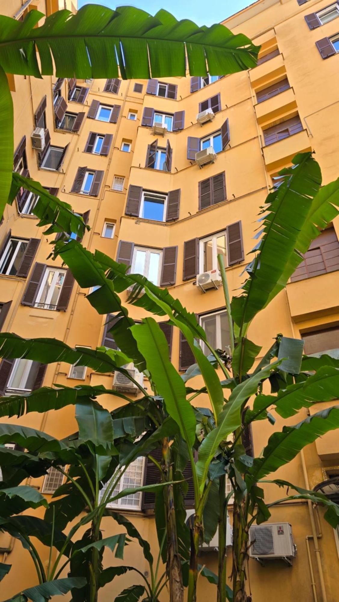 Aeterna - C8 * Rome