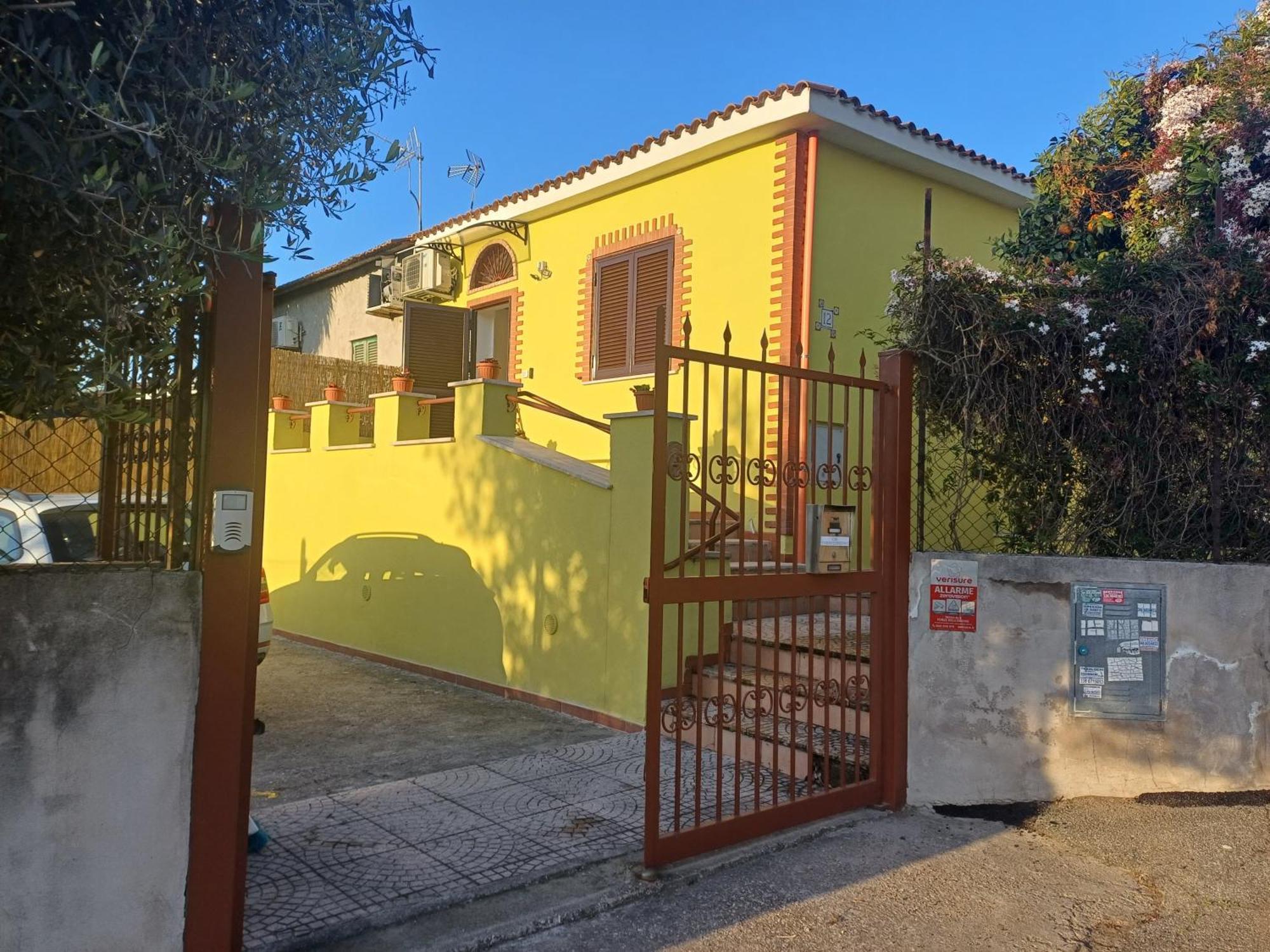 Sunflower's Apartment