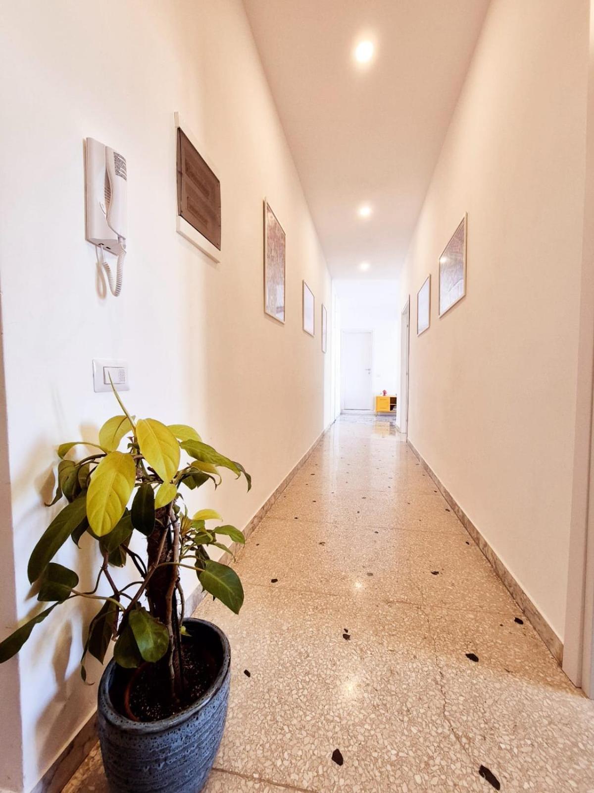 L'acquedotto House