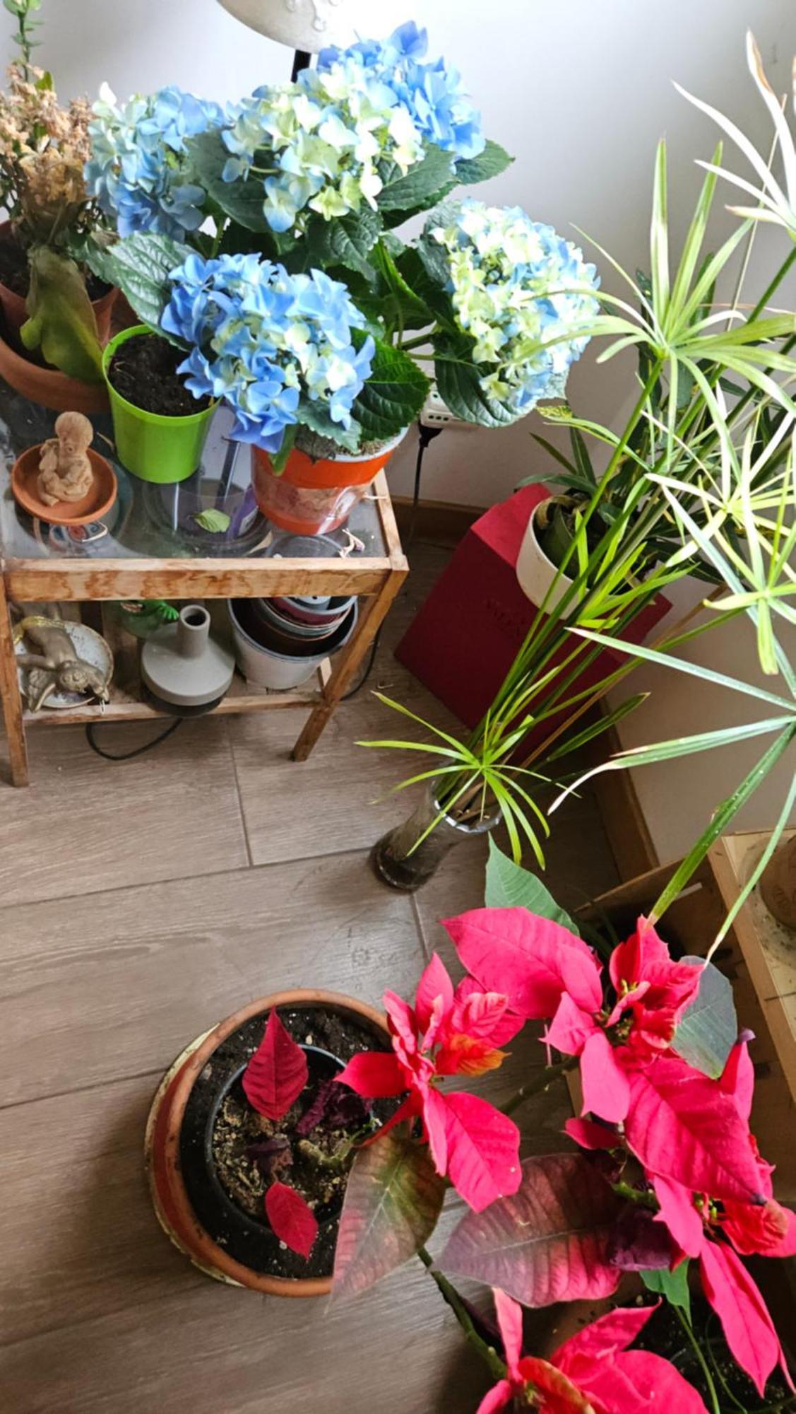 Bed & Breakfast Ulysses In Rome