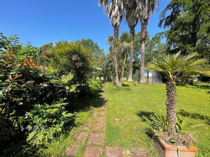 La Dolce - A Tropical Garden In Villa *
