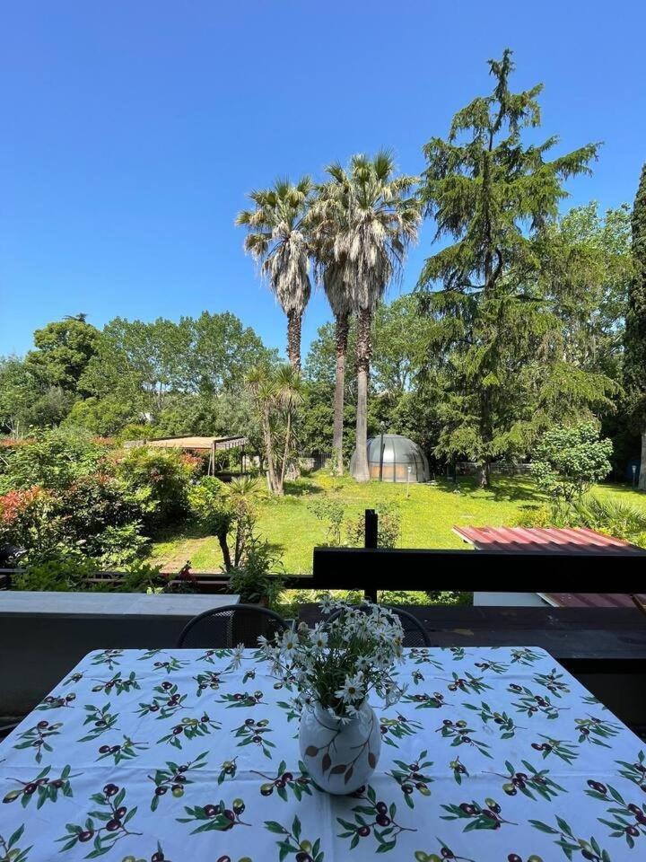 La Dolce - A Tropical Garden In * Rome