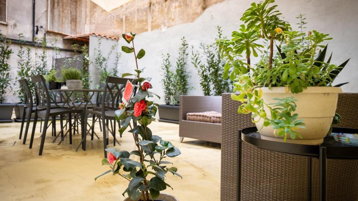 Apartment Domus Pietra In The Heart Of Rome