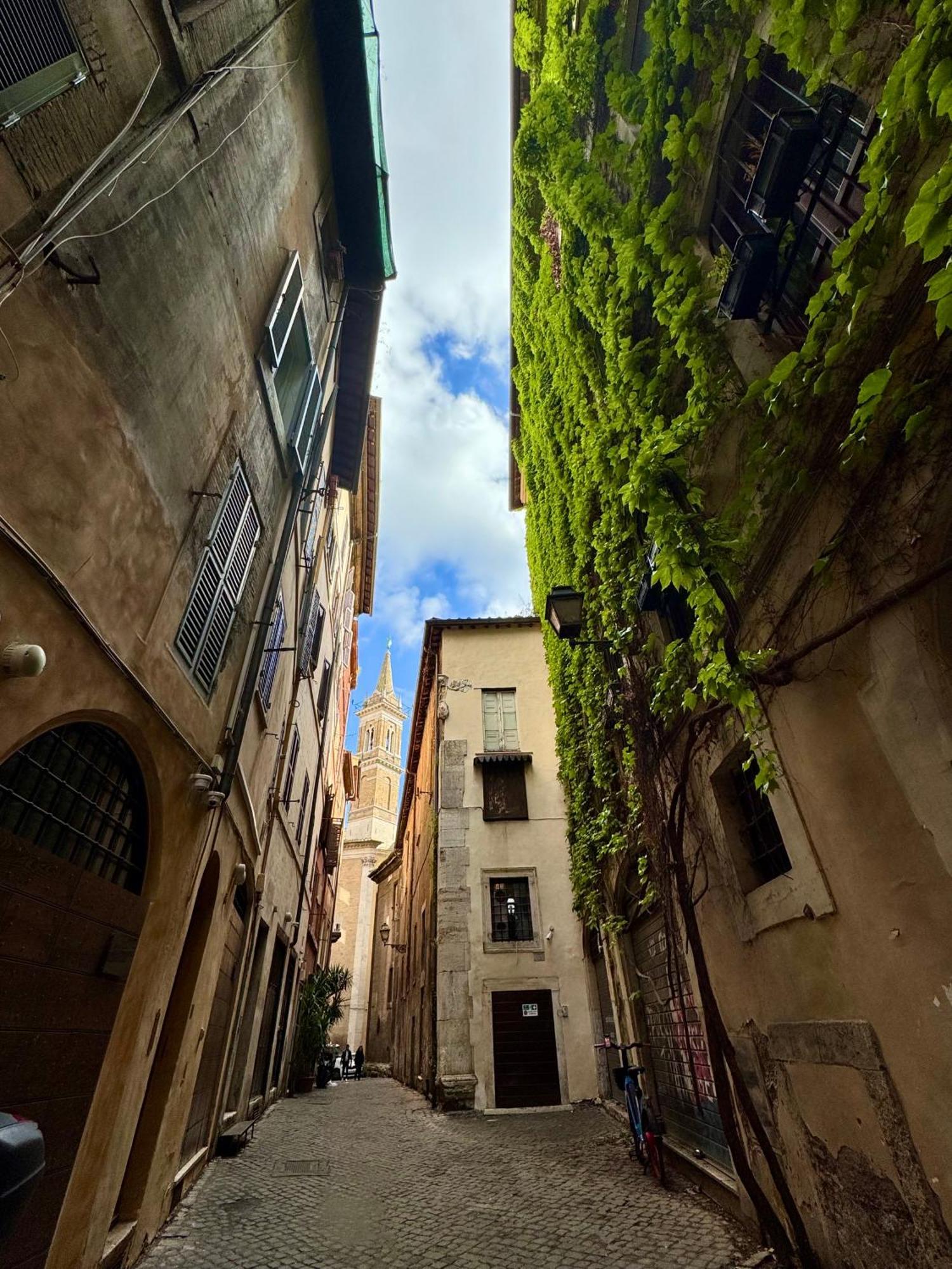 Navona Fox House 1
