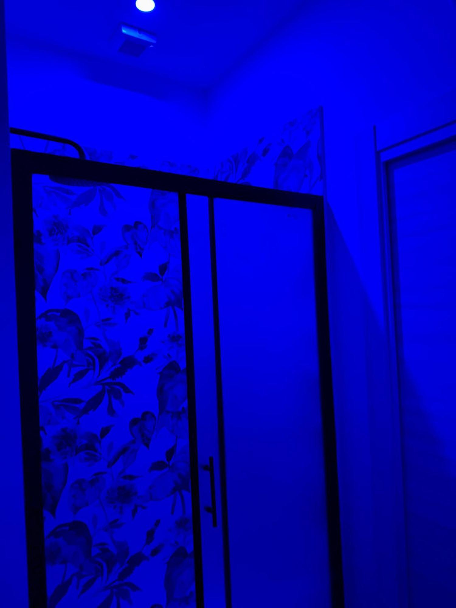 Apartment Holi