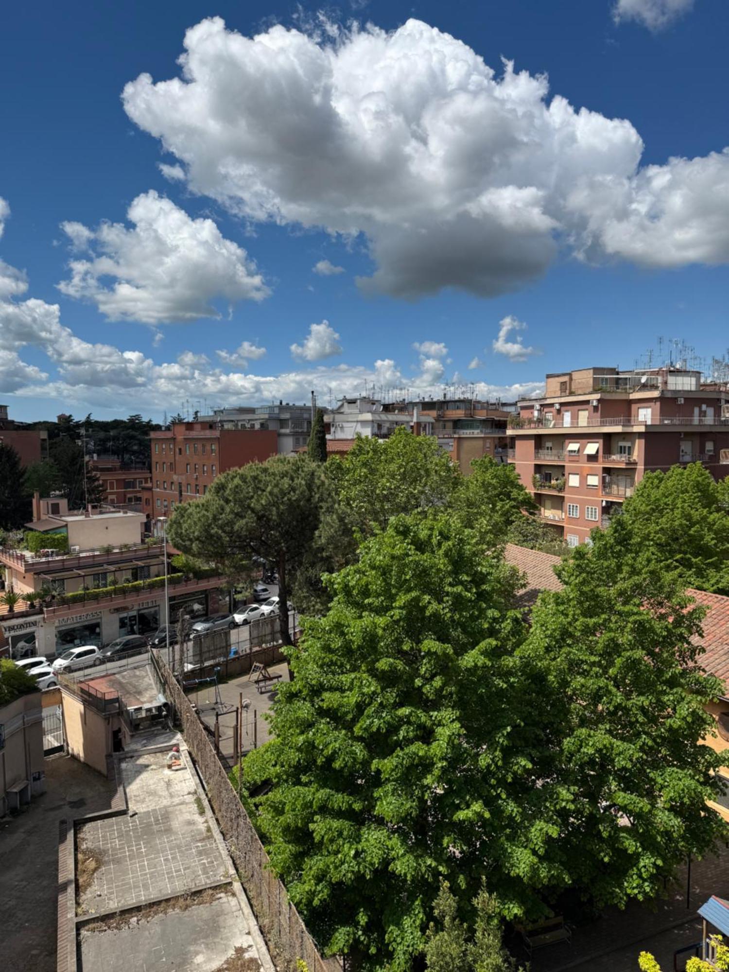Apartment Holi *