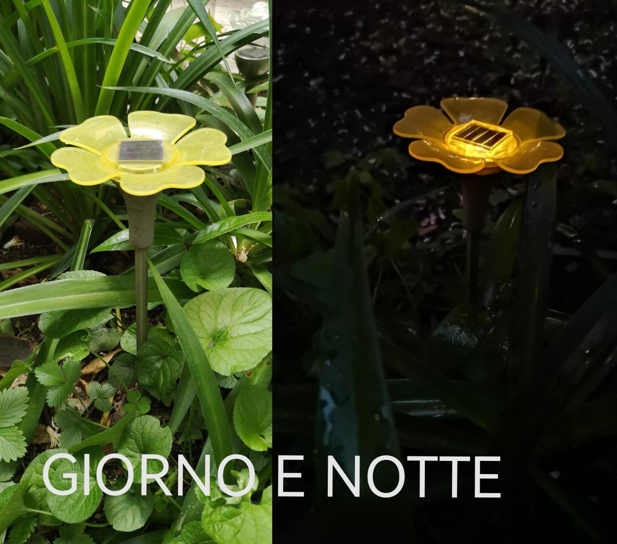 Il Giardino Di Frida *