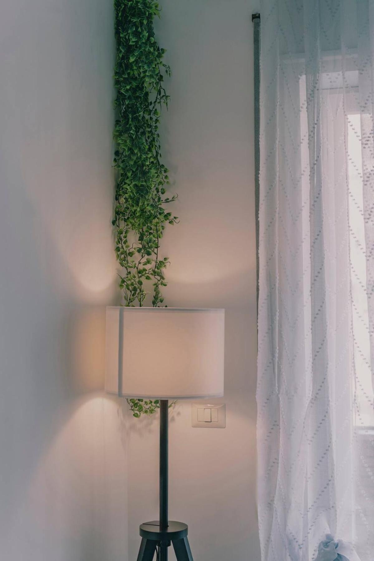 Apartment Ama Roma 5 Minuti Dal Colosseo Rome