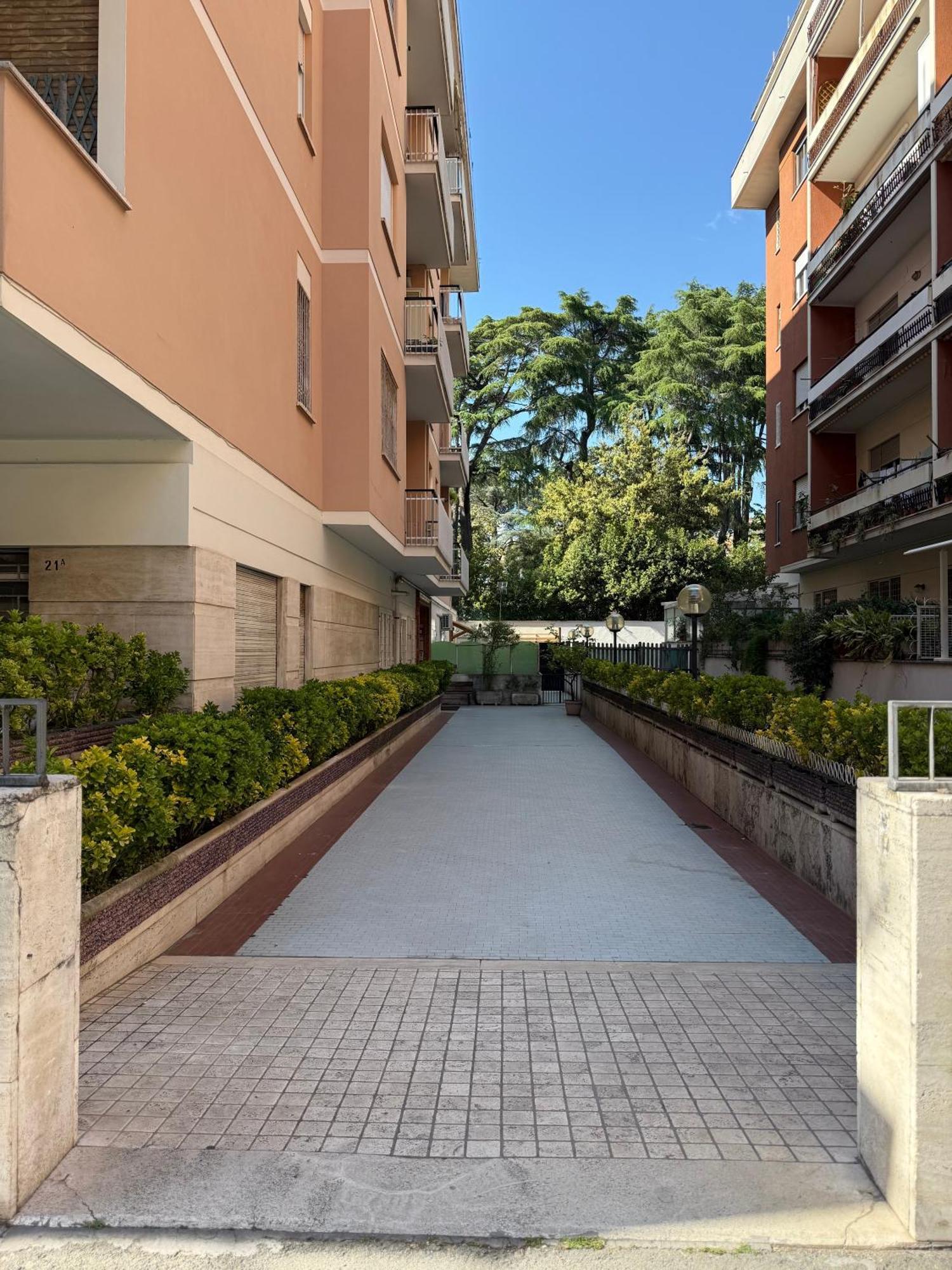 Apartment Holi