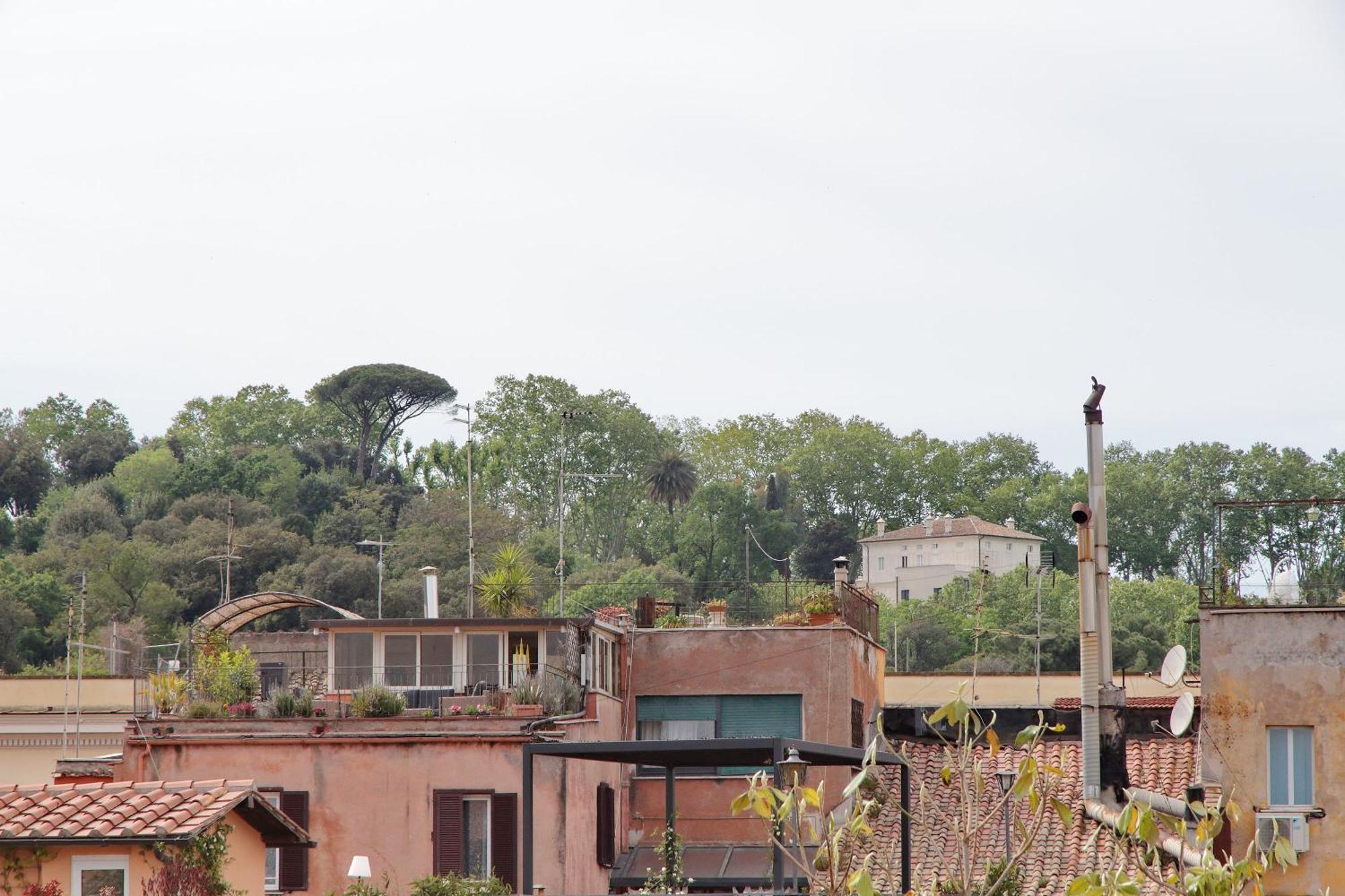 Magic Trastevere On Roof Terrace Homestay *