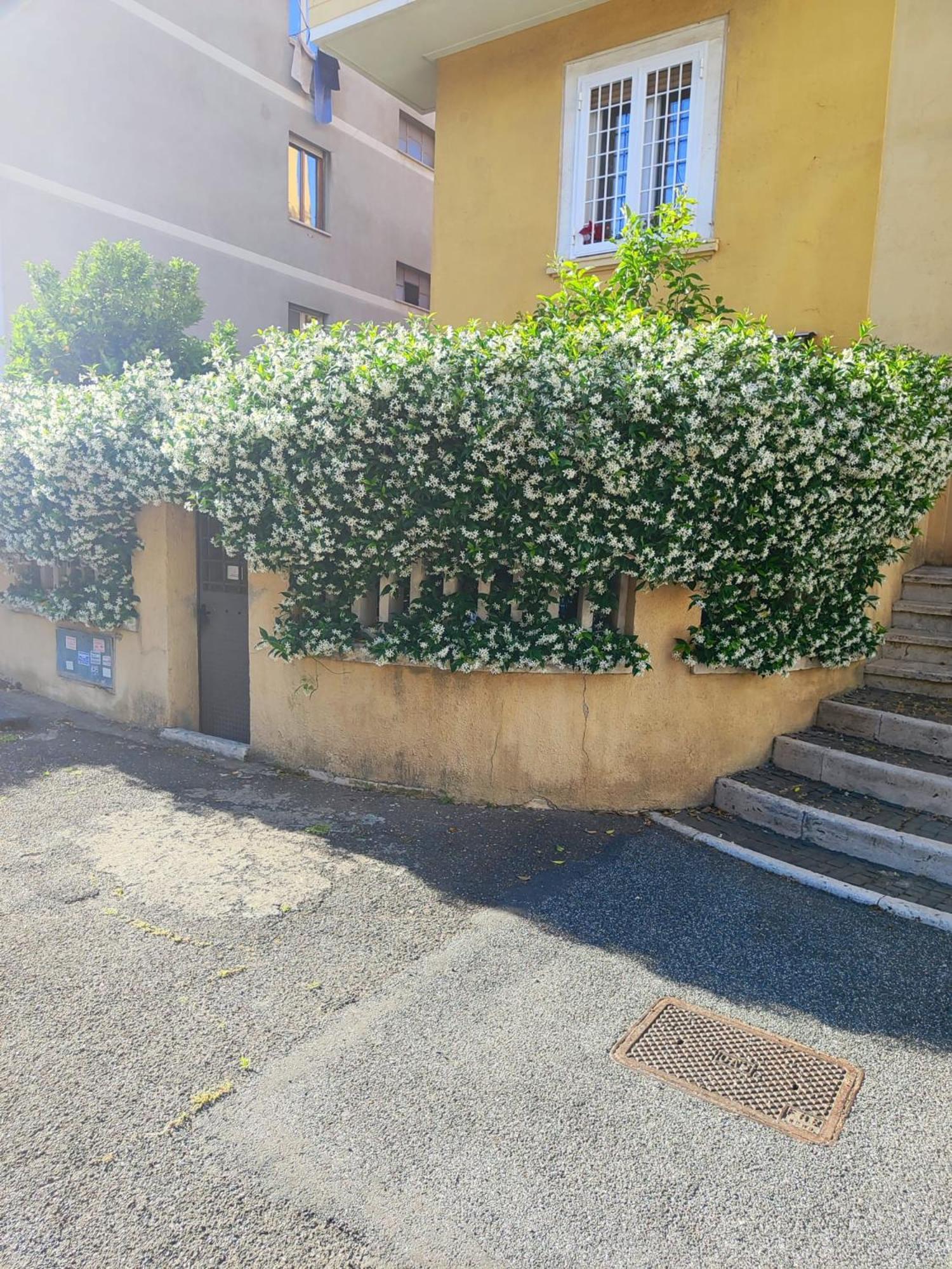 Apartment Casa Cartoni Rome