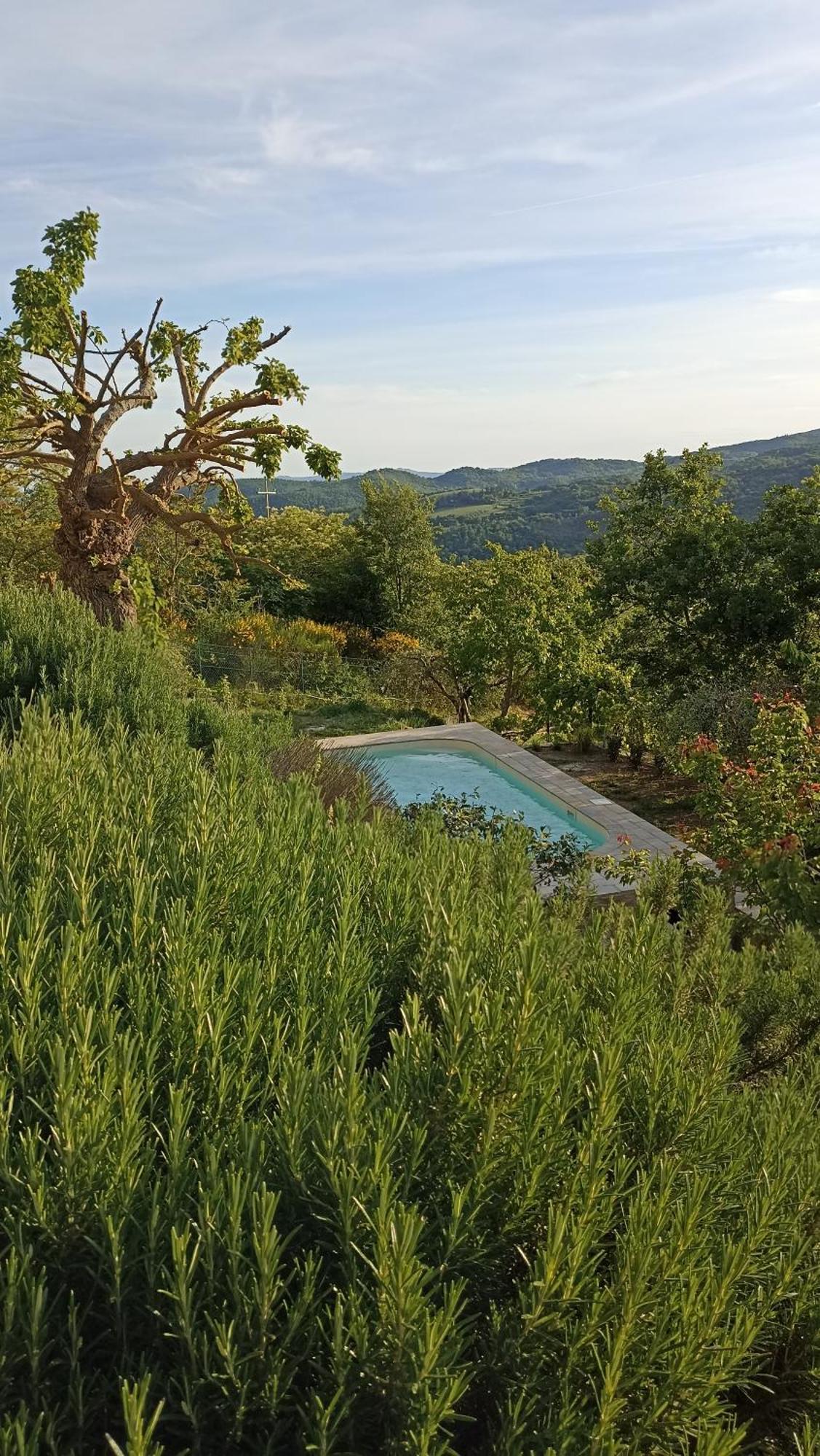 Bed & Breakfast Lavanda E Rosmarino