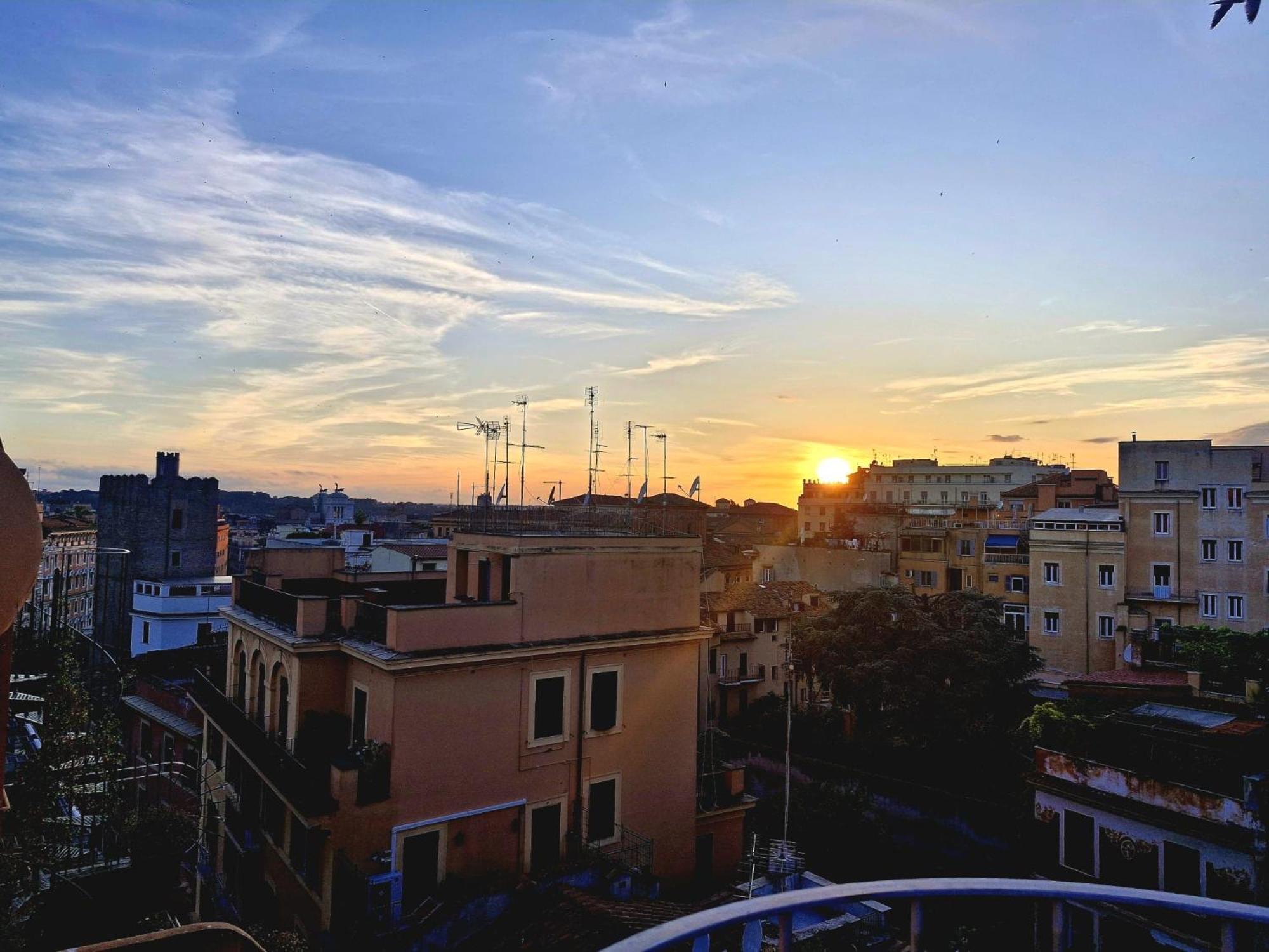 Monti View
