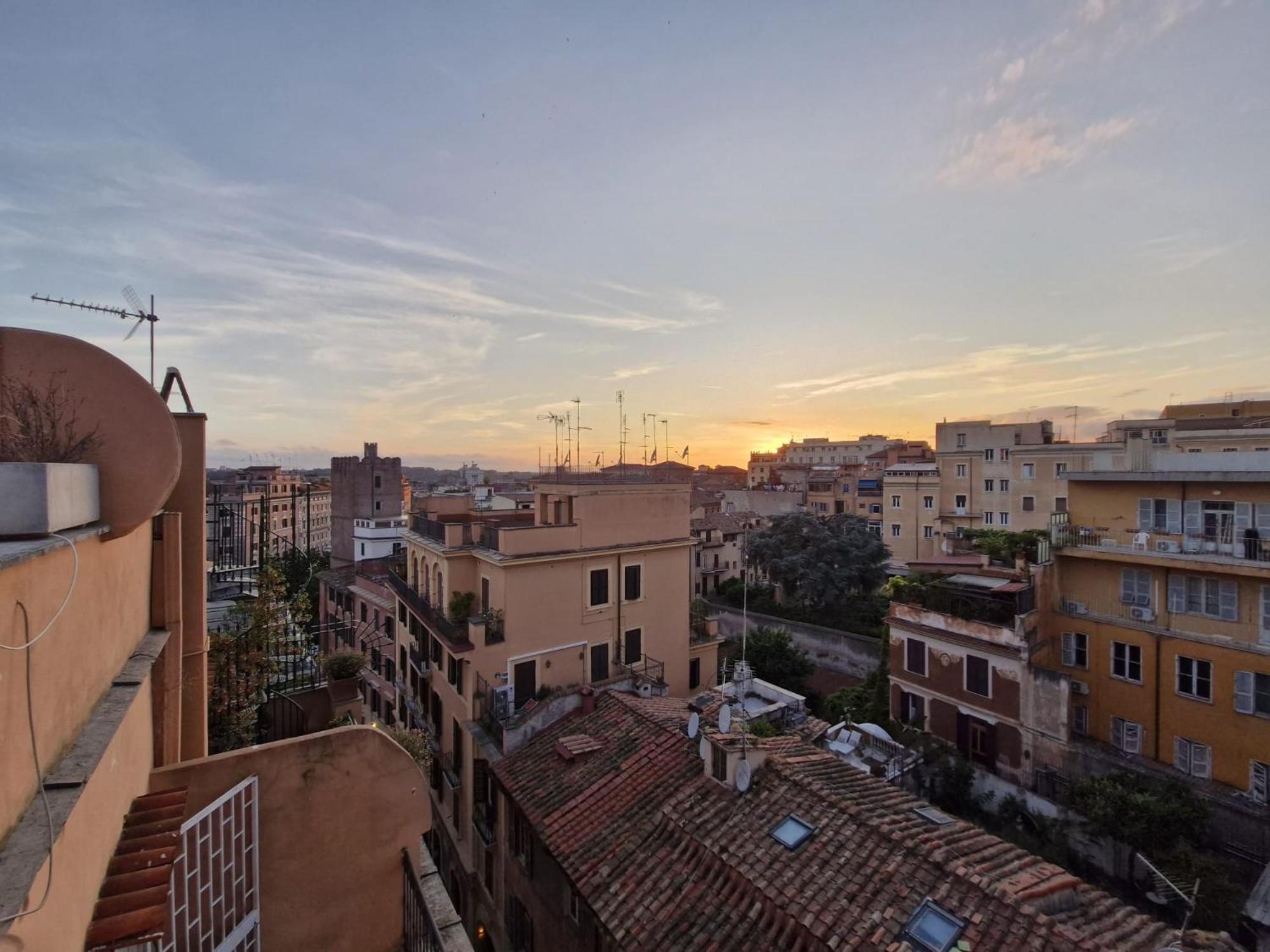 Monti View
