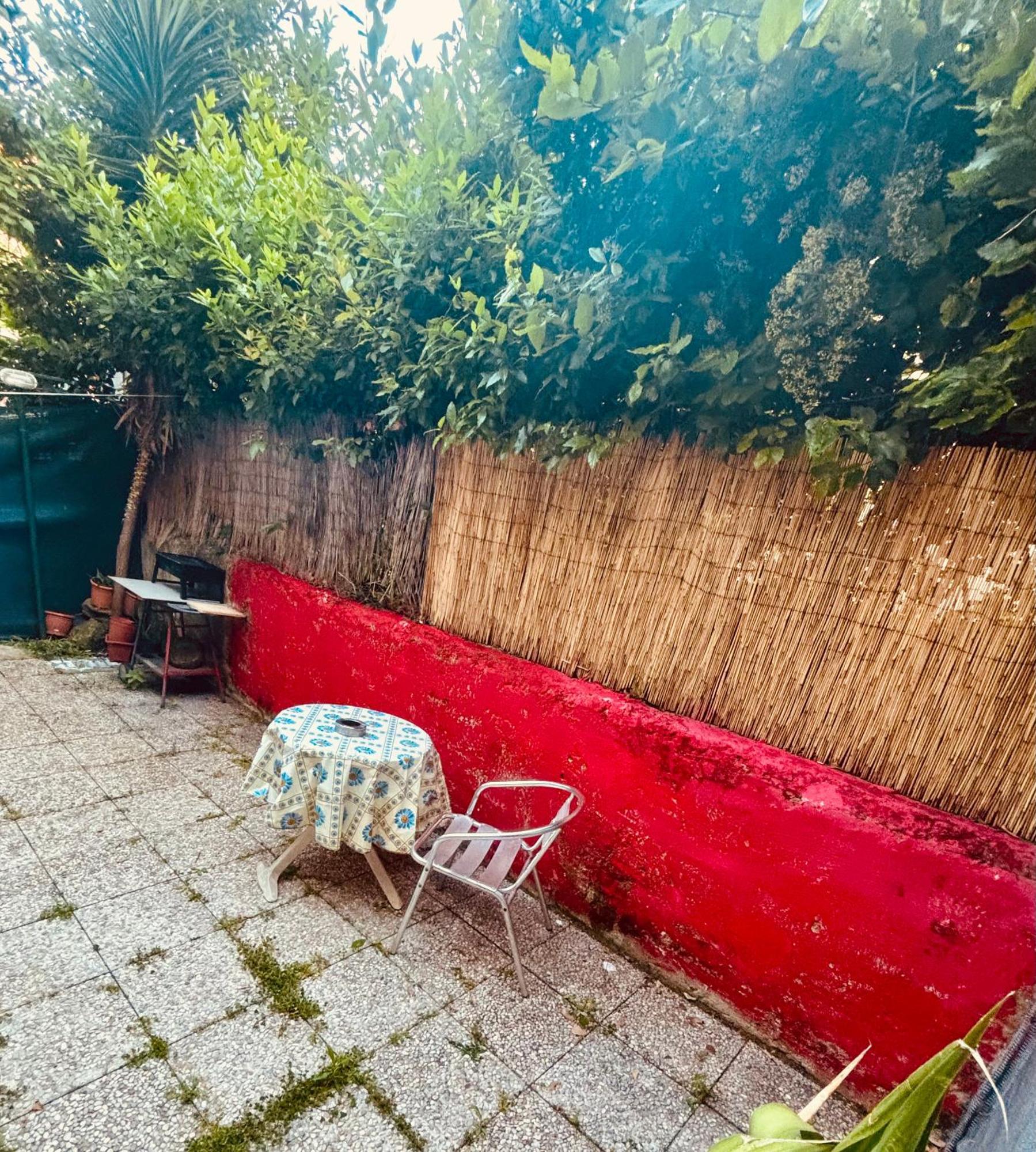 Benny In The Park Close To Gemelli, Stadio Olimpico And Fl3 Train Station To S Peter And Center