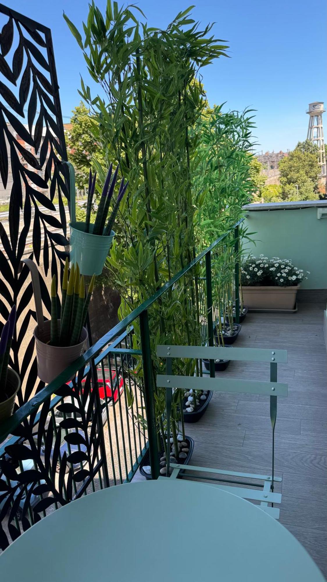 Monstera House Trastevere *