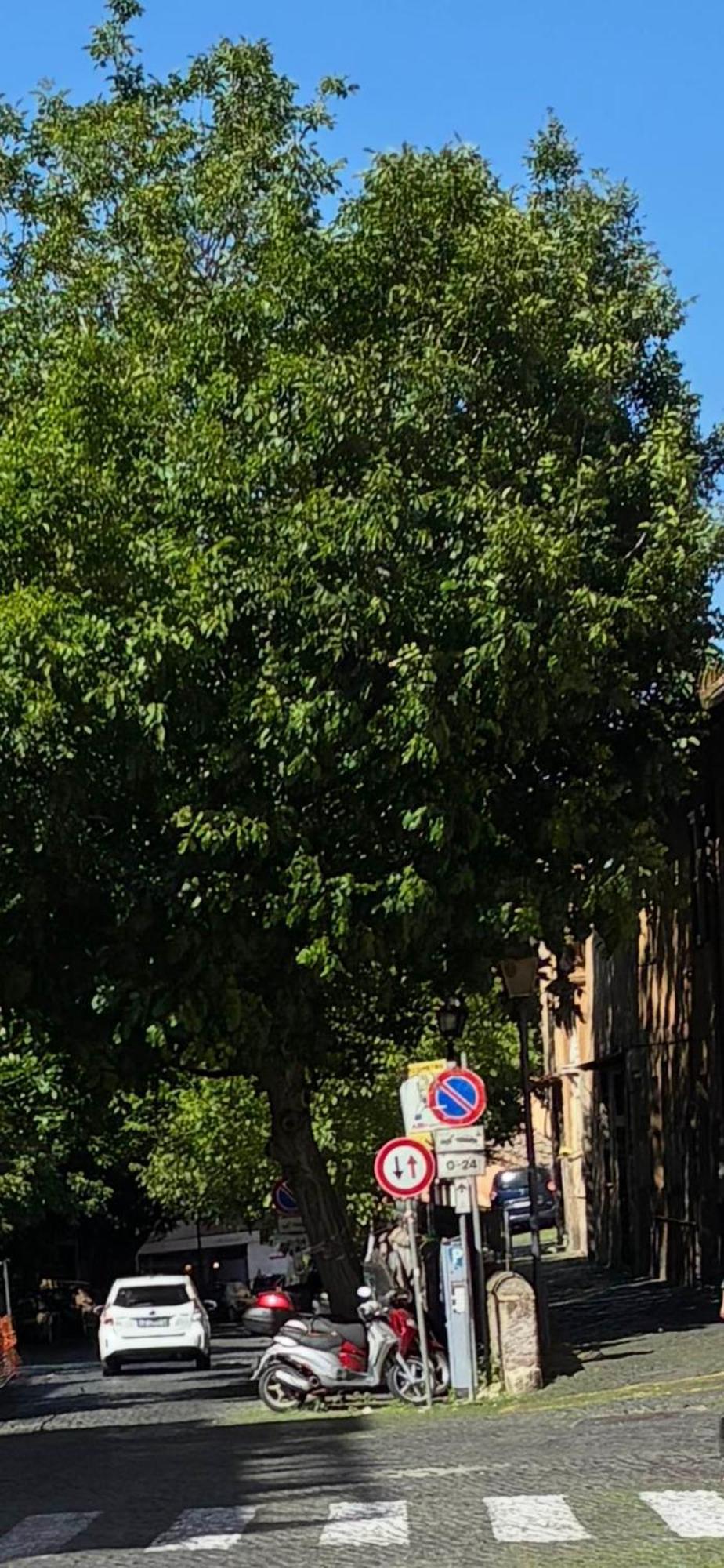 Nel Cuore Di Trastevere Apartment *