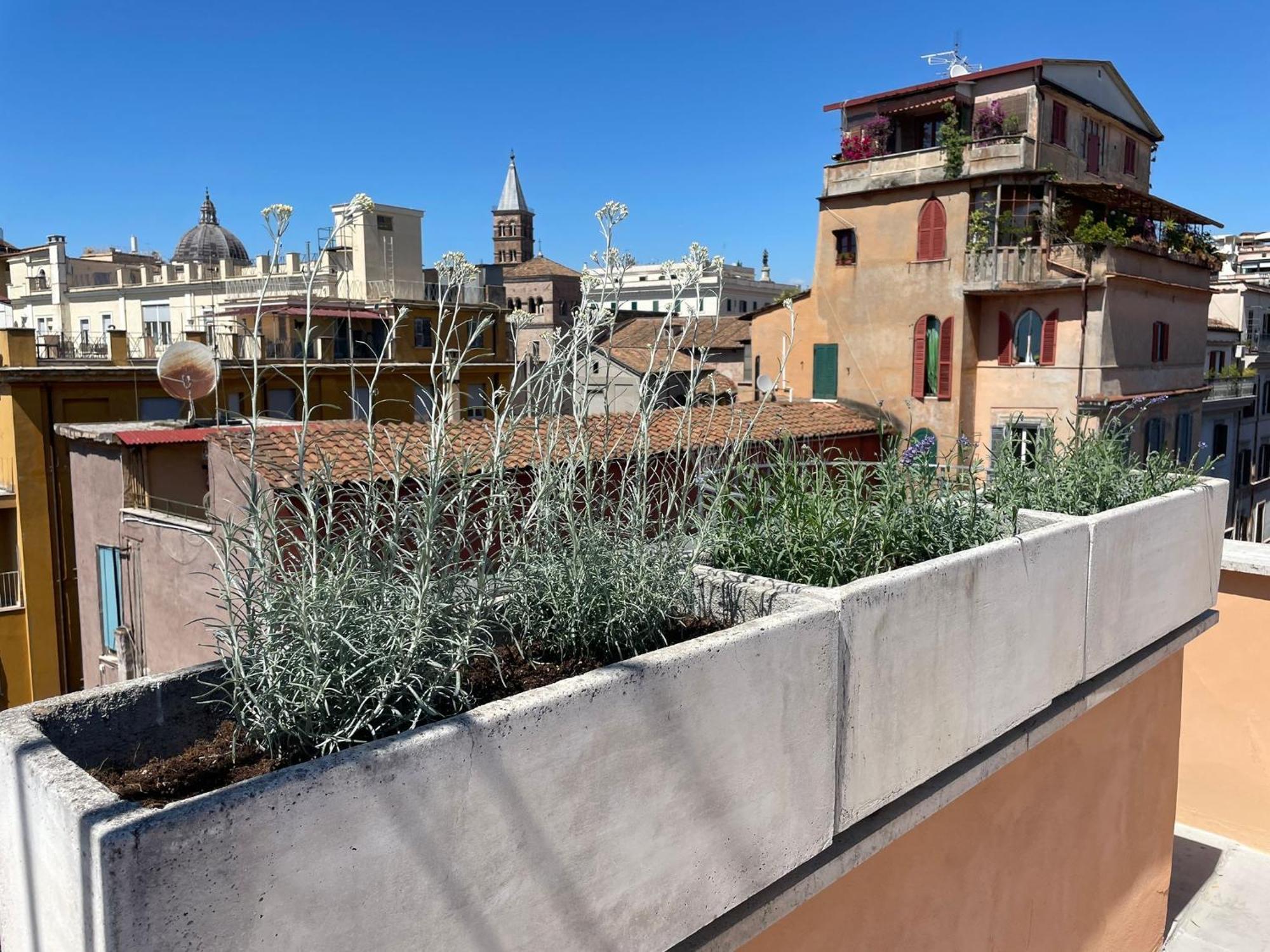 Apartment Monti View