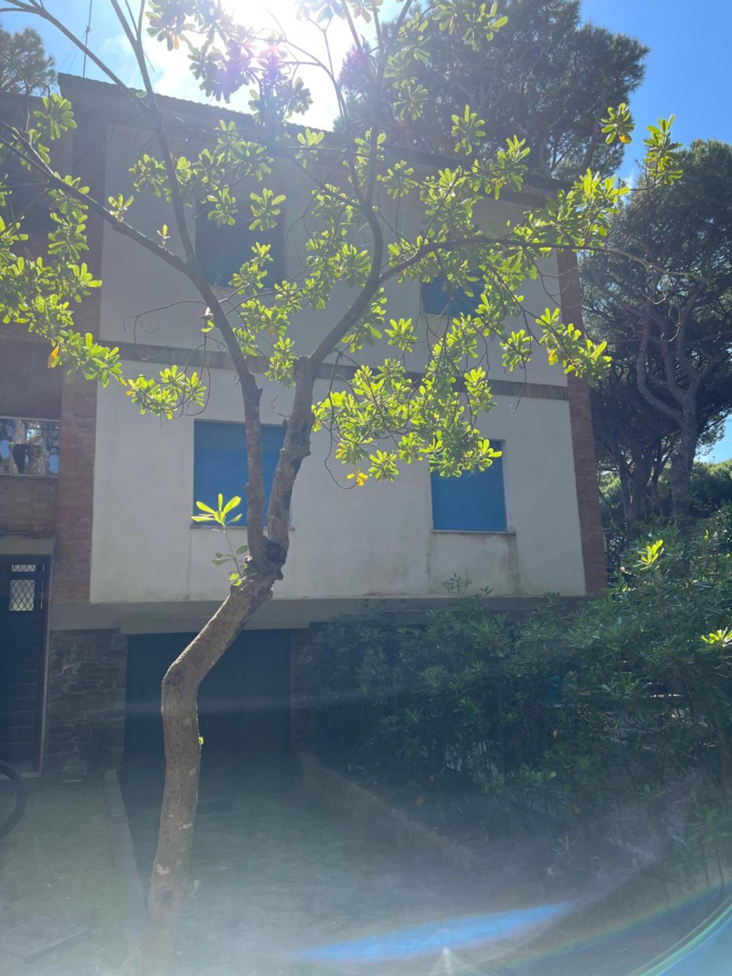 Apartment Residenza Tra I Pini