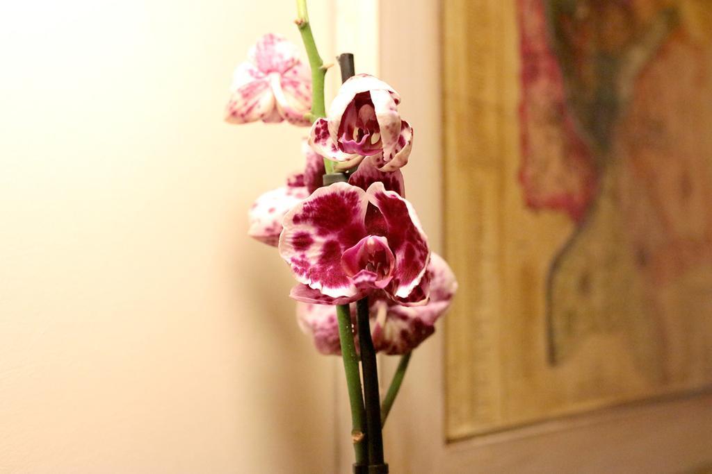 Trastevere Dream House Guest house Rome