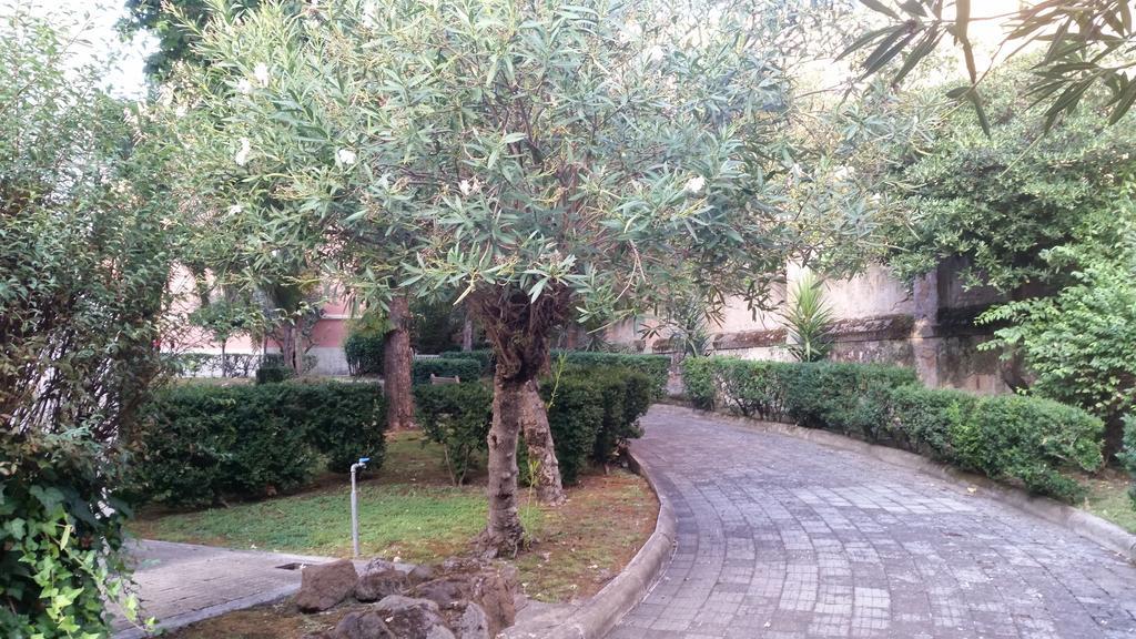 Vecchia 2* Roma