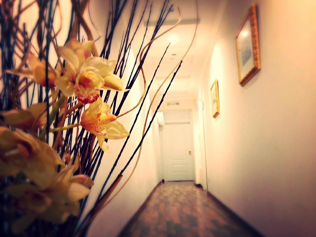 Bed & Breakfast Residenza Domiziano Rome