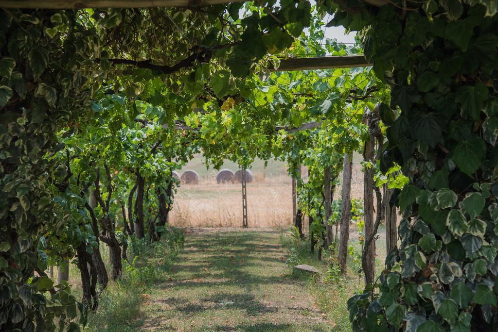 Degli Oleandri Bnb Rome