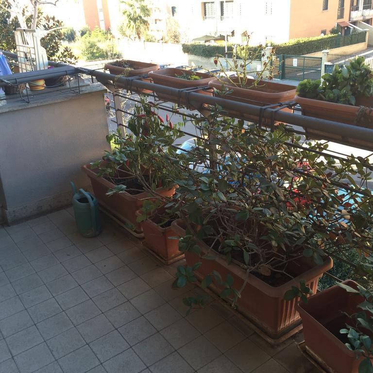 Casa Antonella Appartamento *