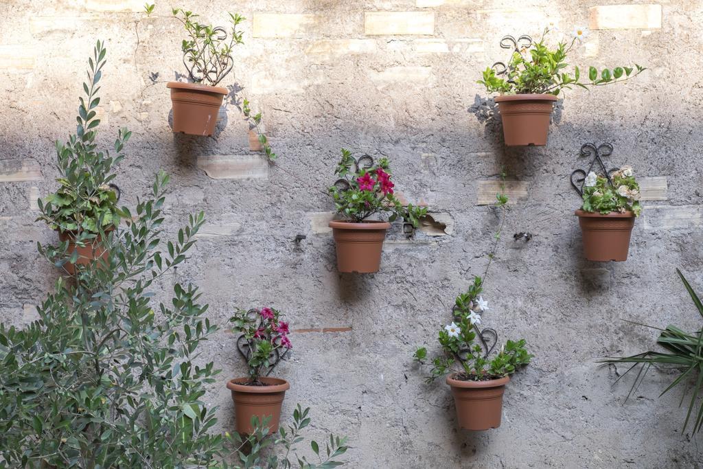 Colosseum Garden Rome