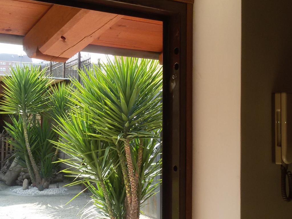 Il Principe Ranocchio Bed & Breakfast Rome