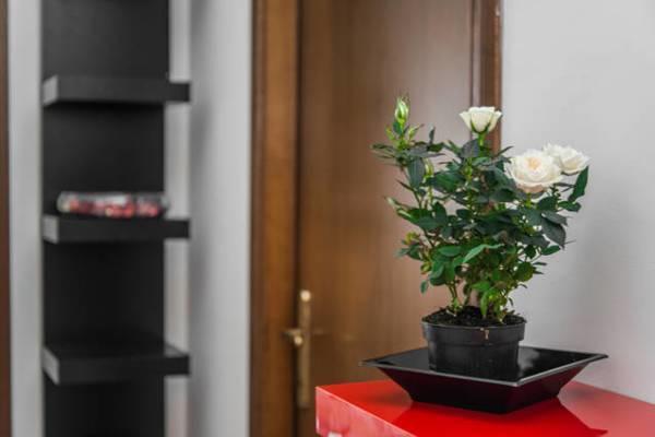 Guest house Tolli 3*