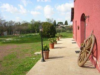 Bed & Breakfast Il Baffetto Rome