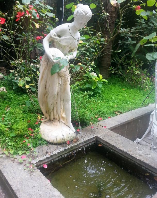 Affittacamere Il Limone Nascosto Roma