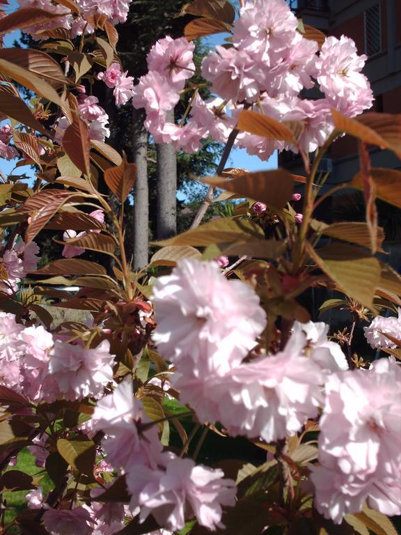 Bed & Breakfast Maria Cristina Brando Rome
