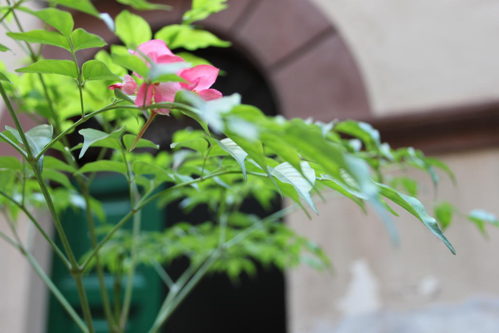 Bed & Breakfast Abaco *