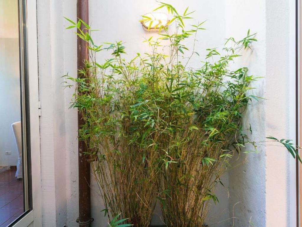 Apartment Garibaldi Roof Garden