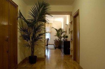 Domus Cavour Rome