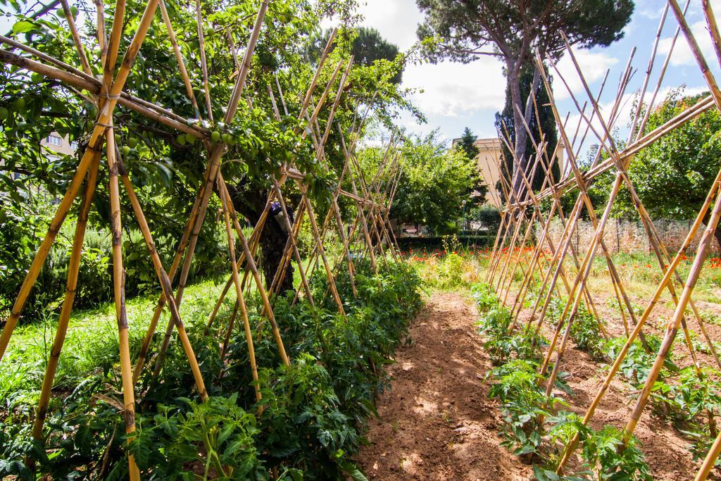 Guest house Monte Mario Rome