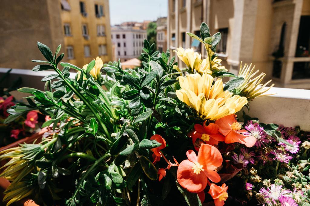 Bed & Breakfast Adriano Augusto Rome
