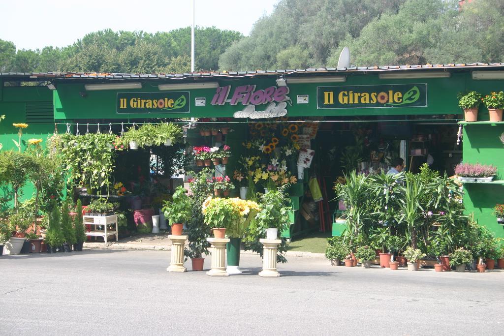 Vittoria Rome