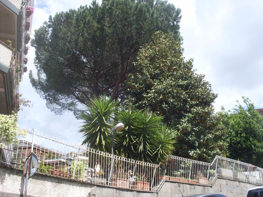 La Coccinella Apartment *