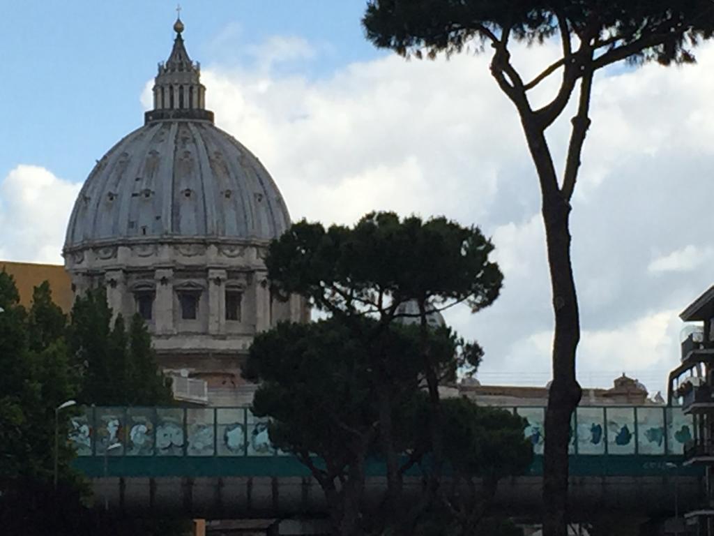 Saint Peter Welcoming Apartment Rome