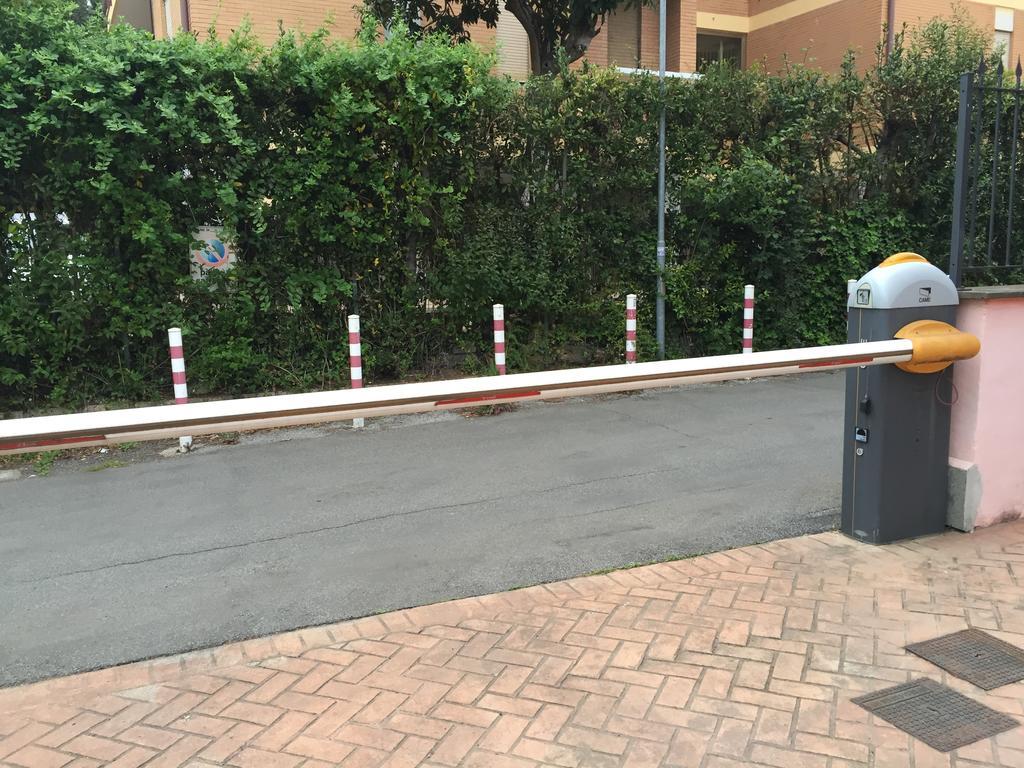 Pineta Rome
