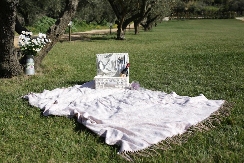 Grappoli Di Sole Farm stay