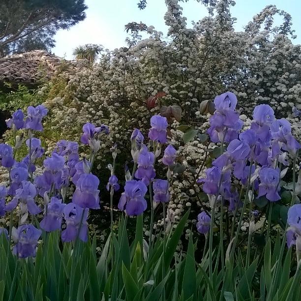 Bed & Breakfast Il Casale Dell'ara Delle Rose Rome
