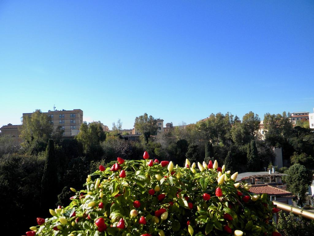 Guest house Gmaison 2*