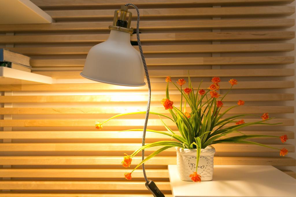 S.angelo Terrace Sq Navona Apartment