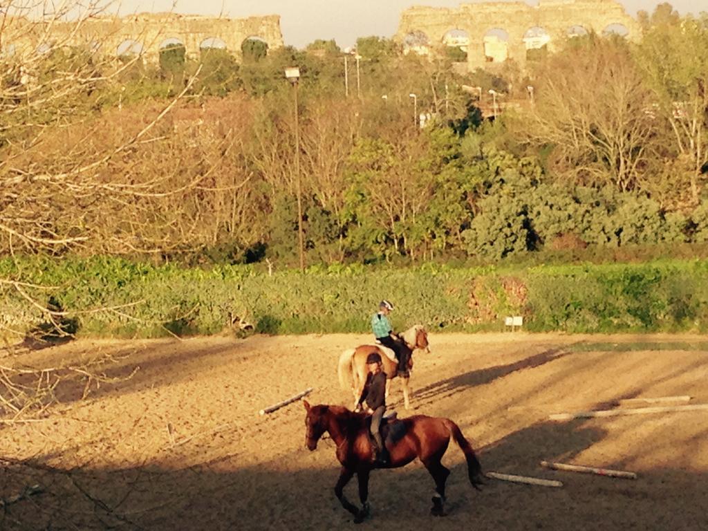 Casale Appio Affittacamere Roma