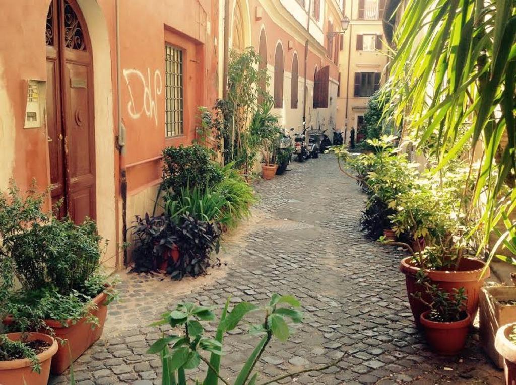 Colosseum By Serena Apartment