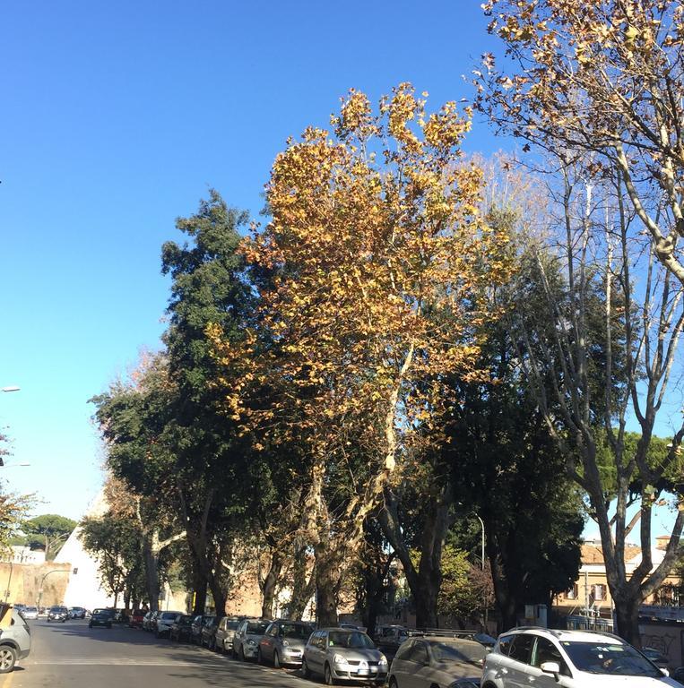 Apartment Piramide